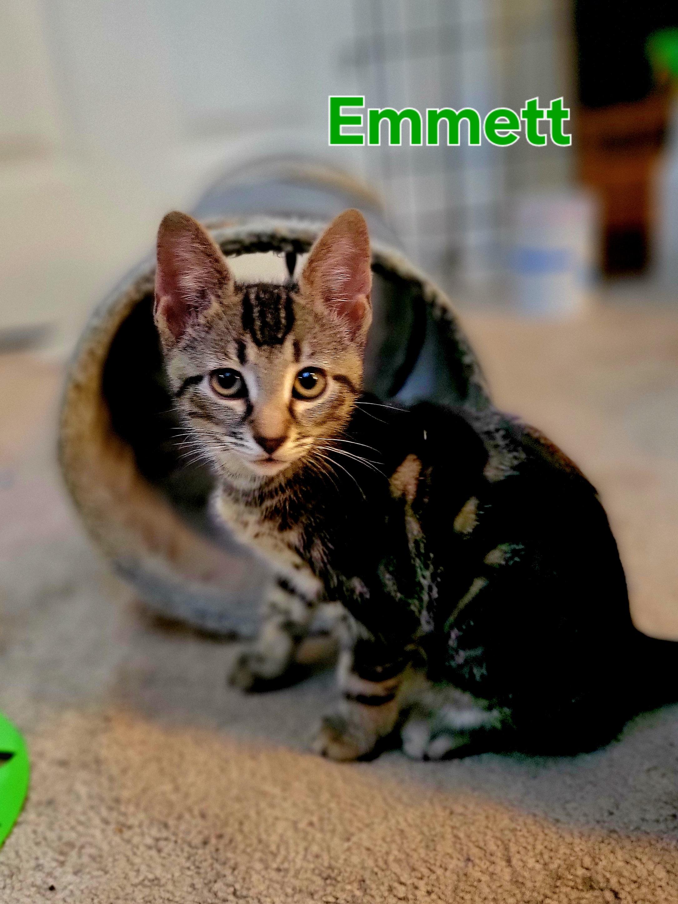 Emmett