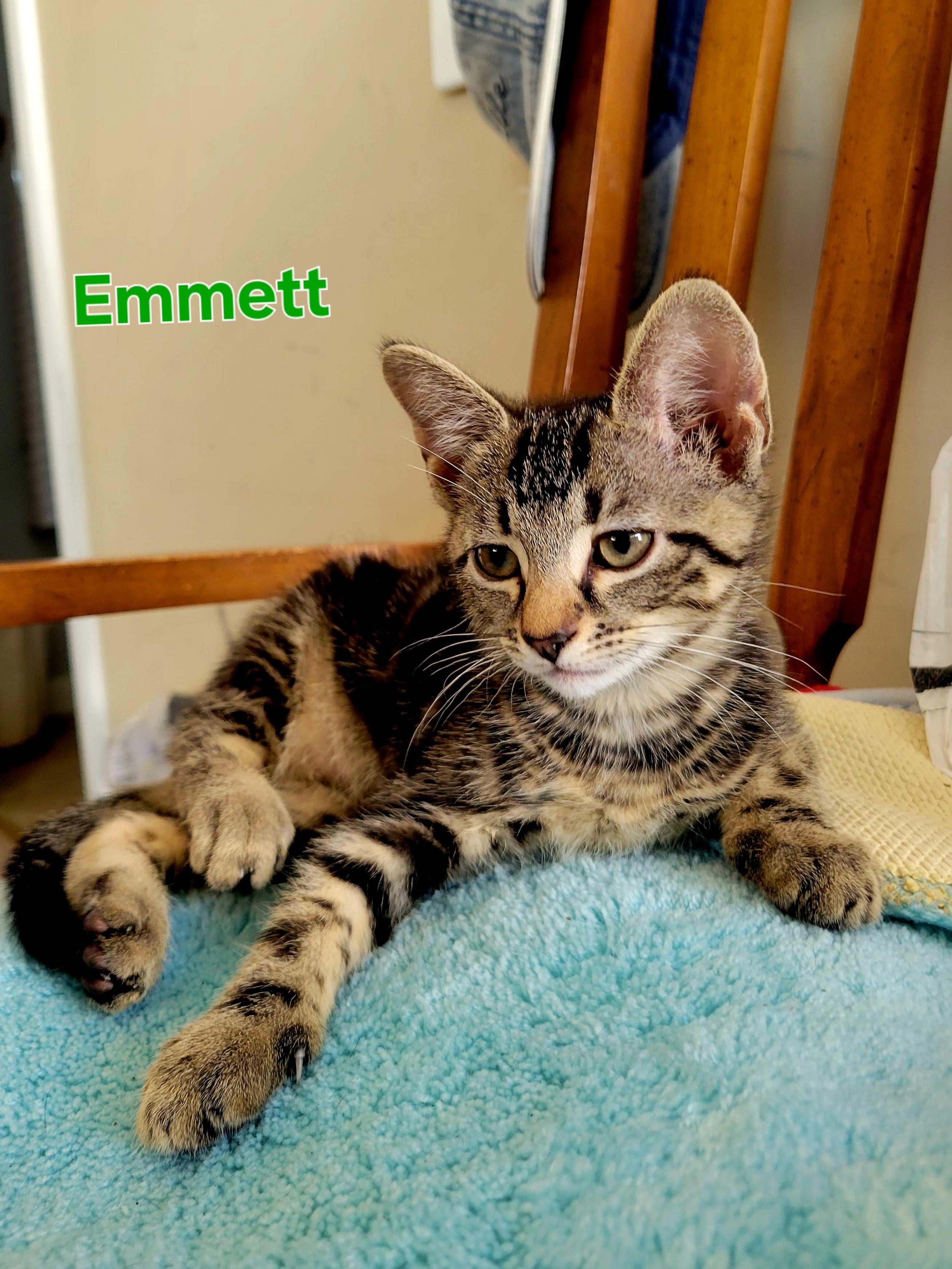 Emmett