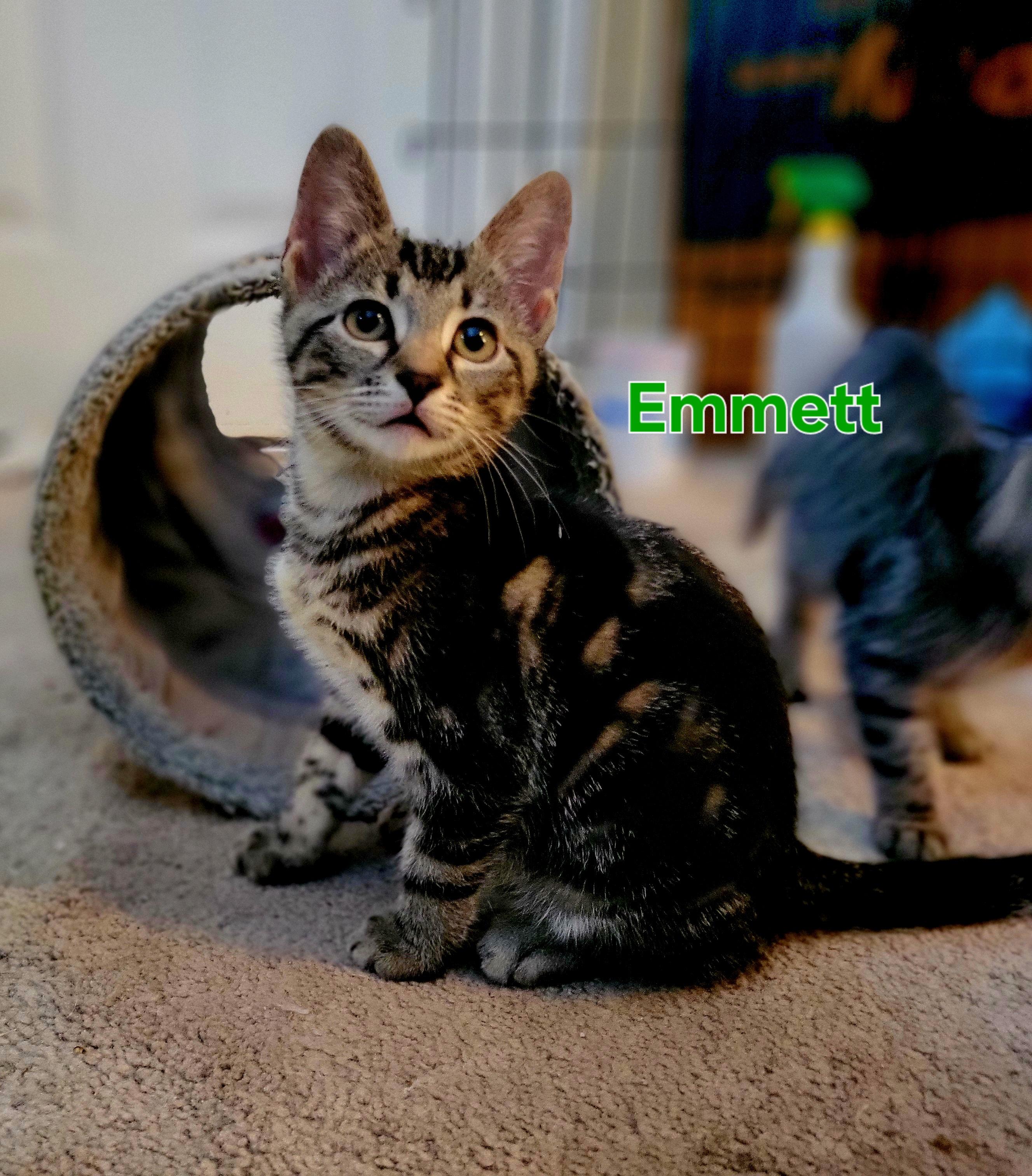Emmett