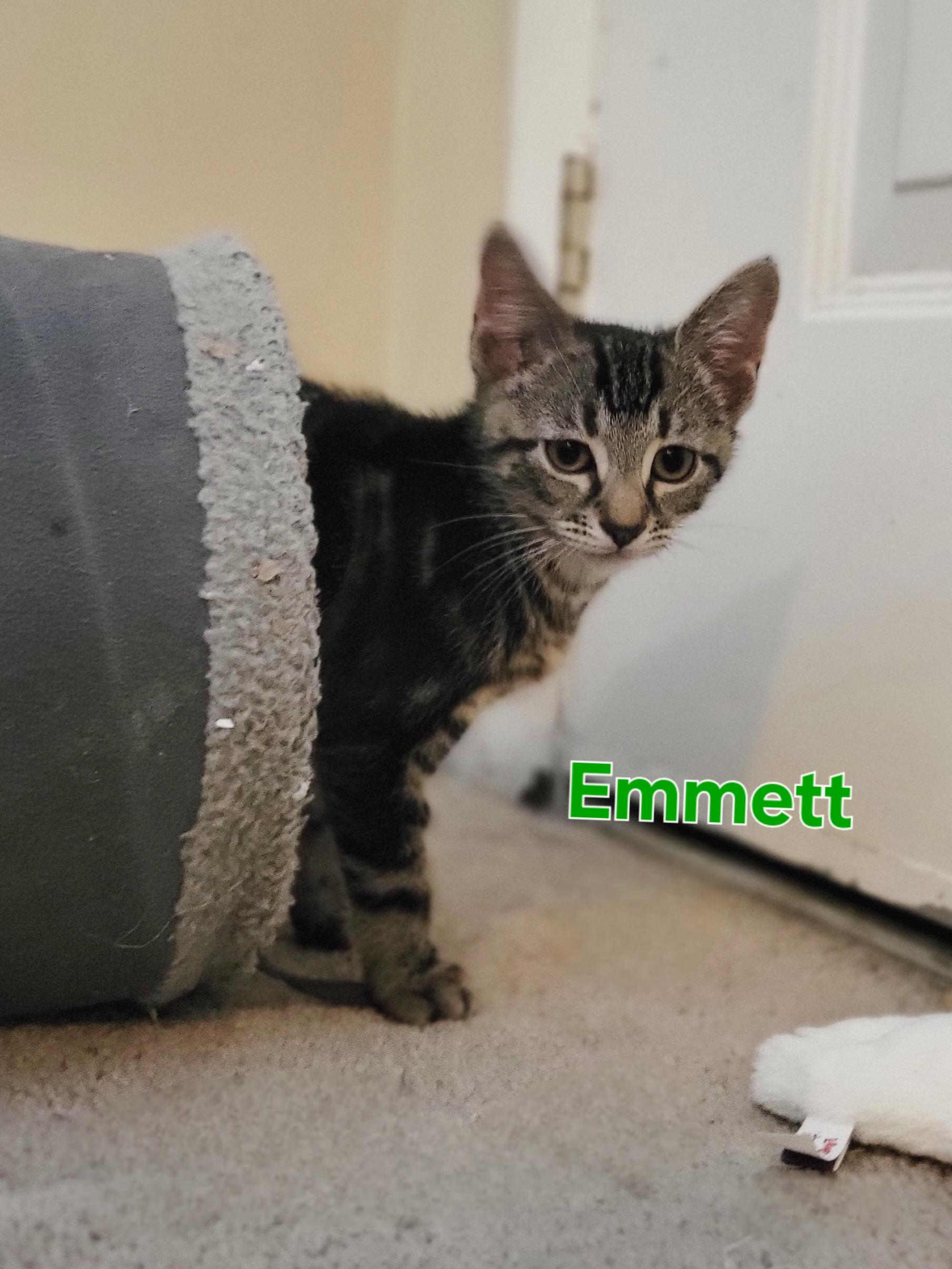 Emmett