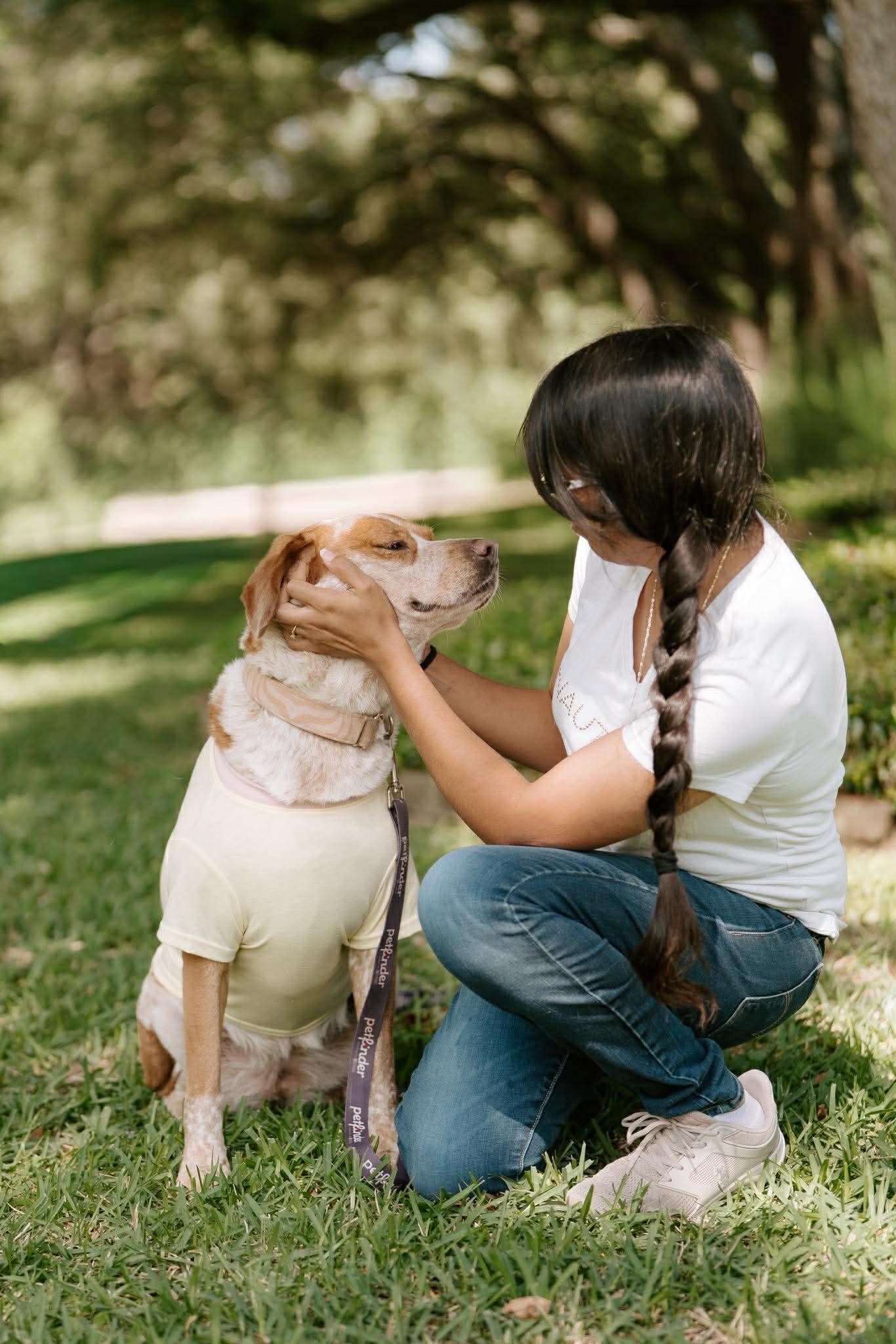 Biscuit, a Adoptable mixed breed in Humble, TX image 5/6