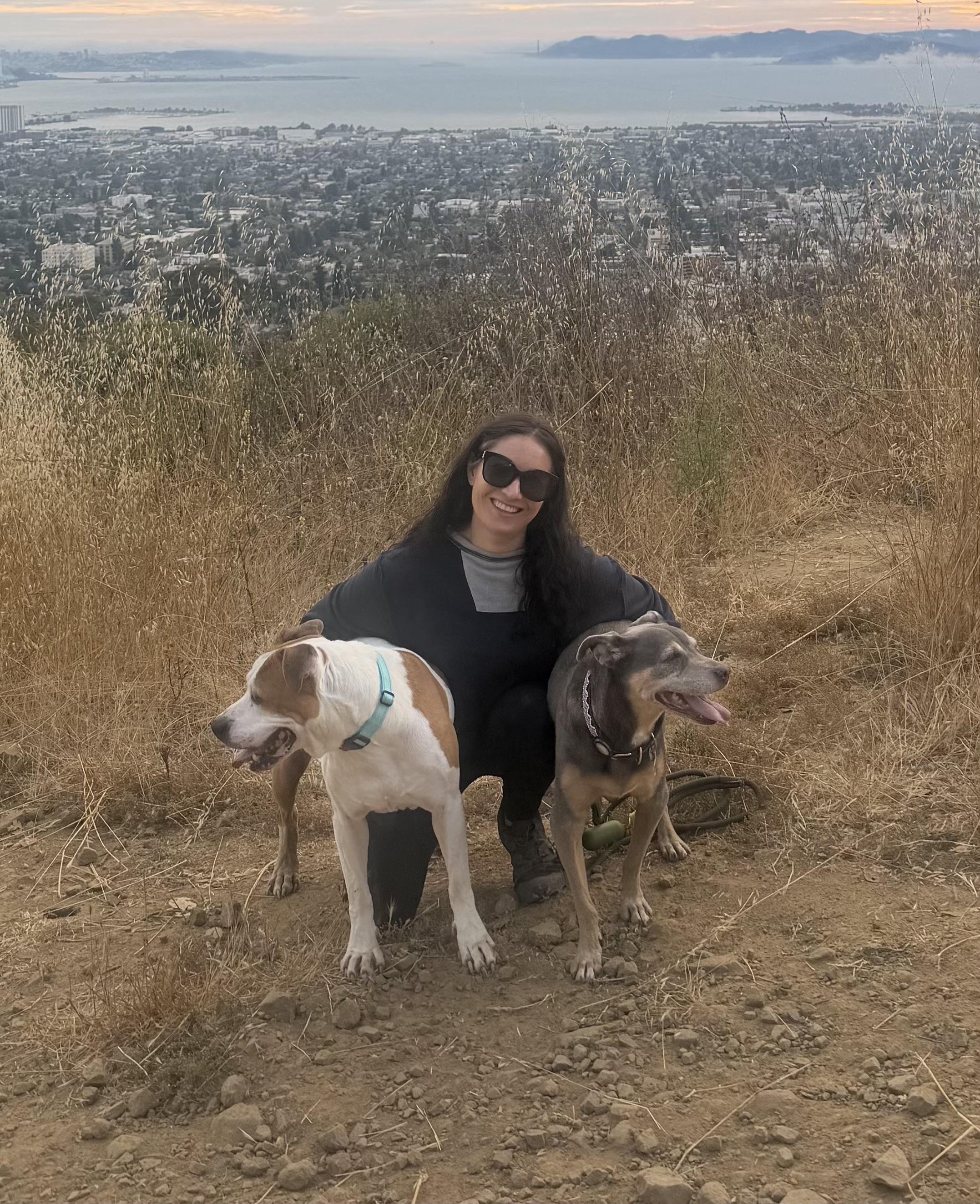 Enlarge BELLA, a Adoptable Pit Bull Terrier in Pittsburg, CA image 5/6
