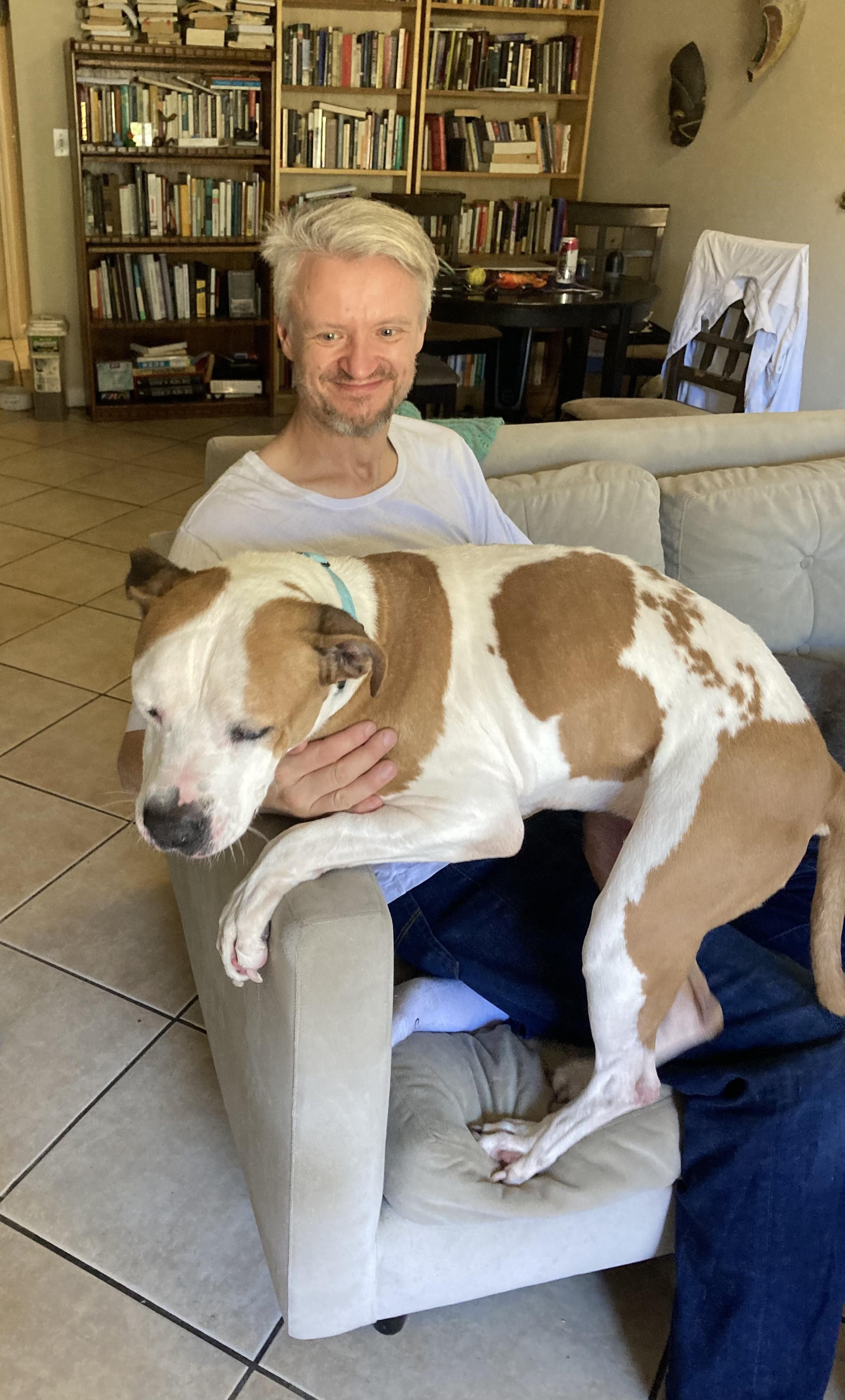 Enlarge BELLA, a Adoptable Pit Bull Terrier in Pittsburg, CA image 3/6
