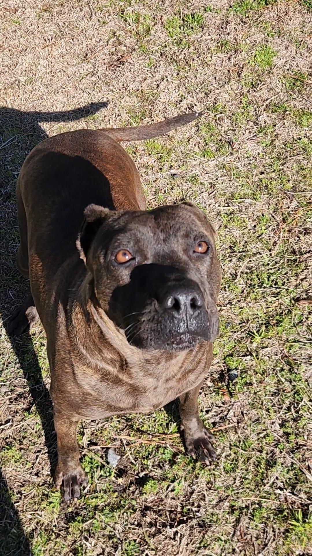 Velma, Adult Female unknown