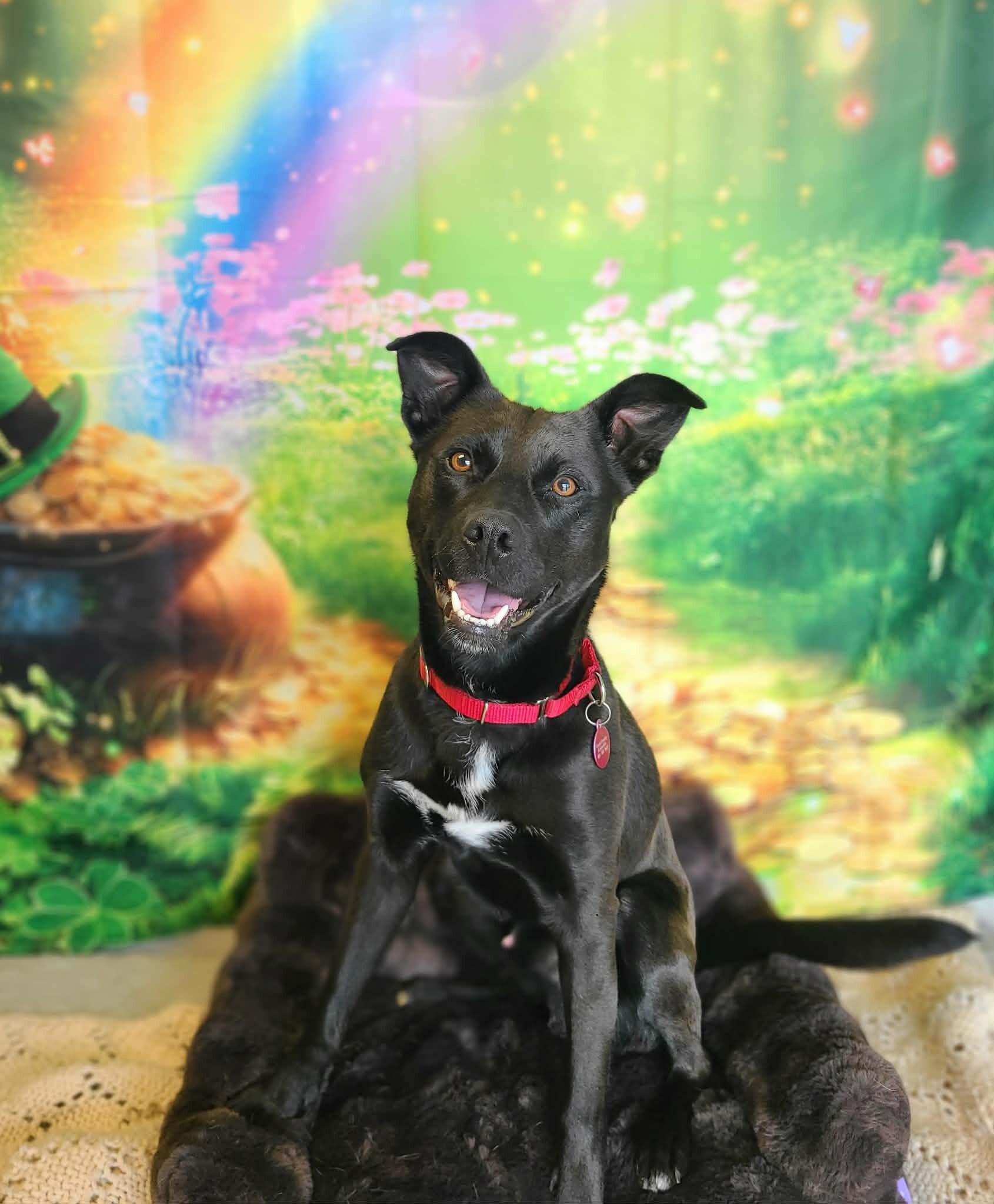 Mellow — thumbnail 2