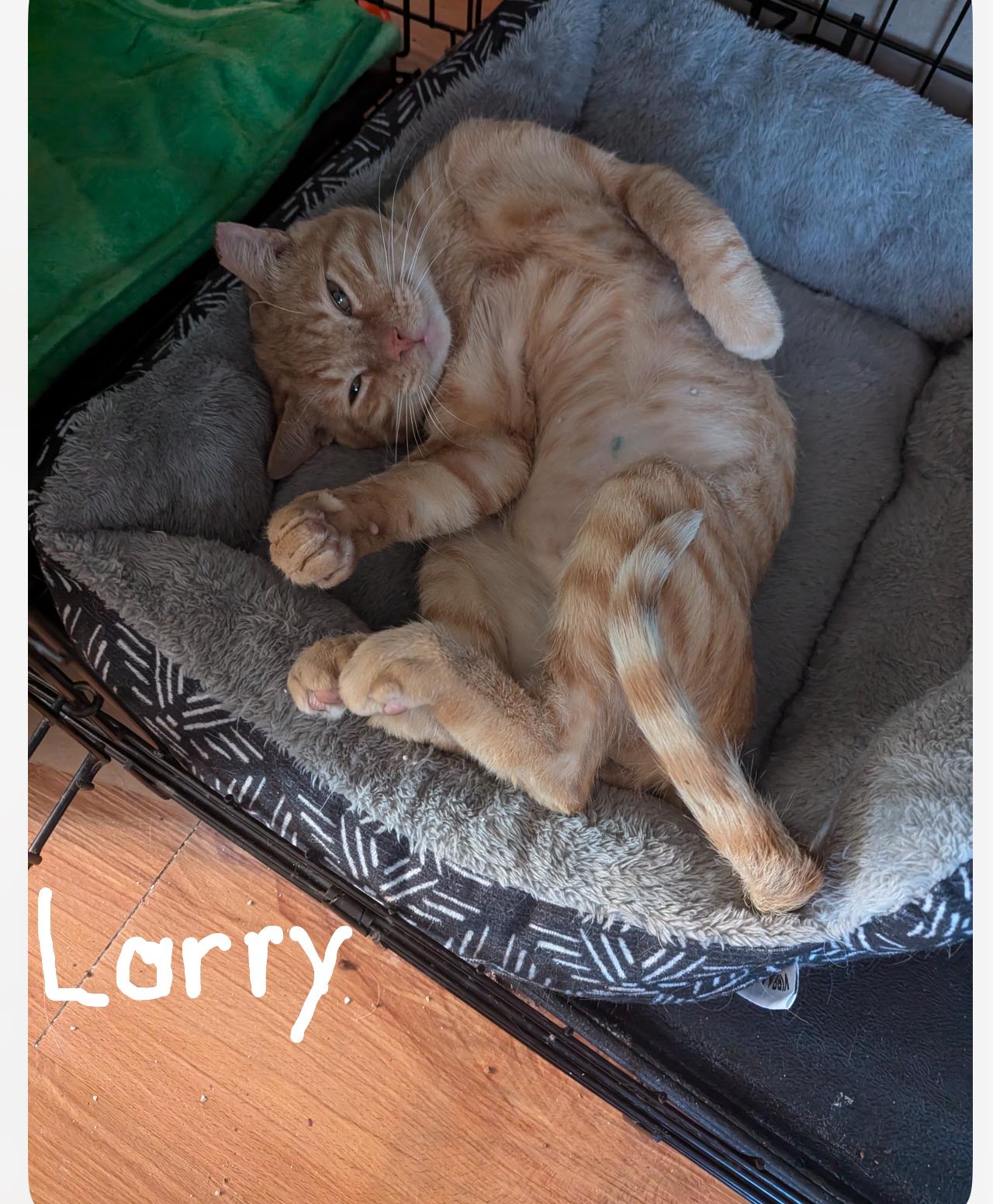 Larry