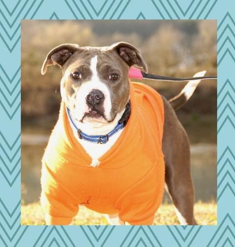 Blaze — thumbnail 2