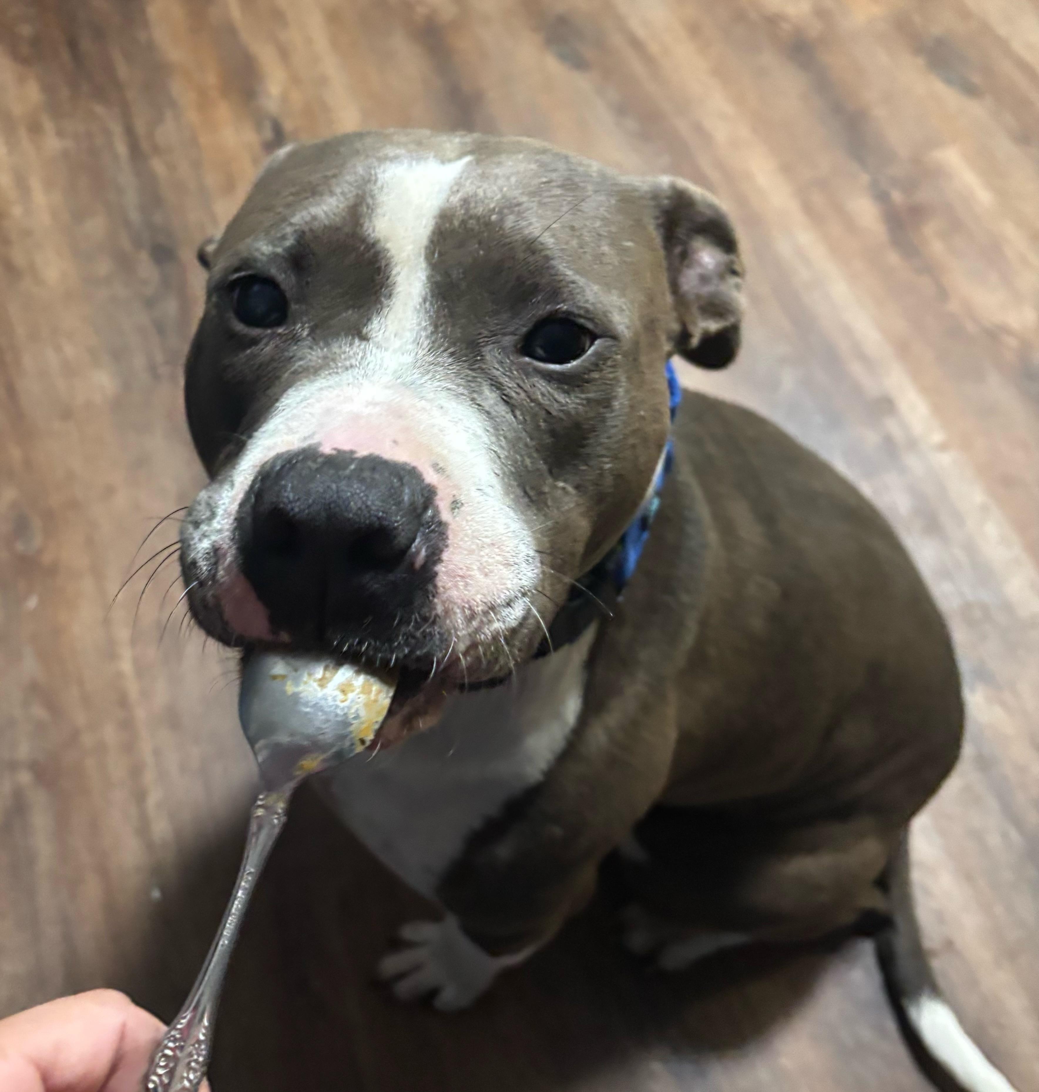 Blaze — thumbnail 4