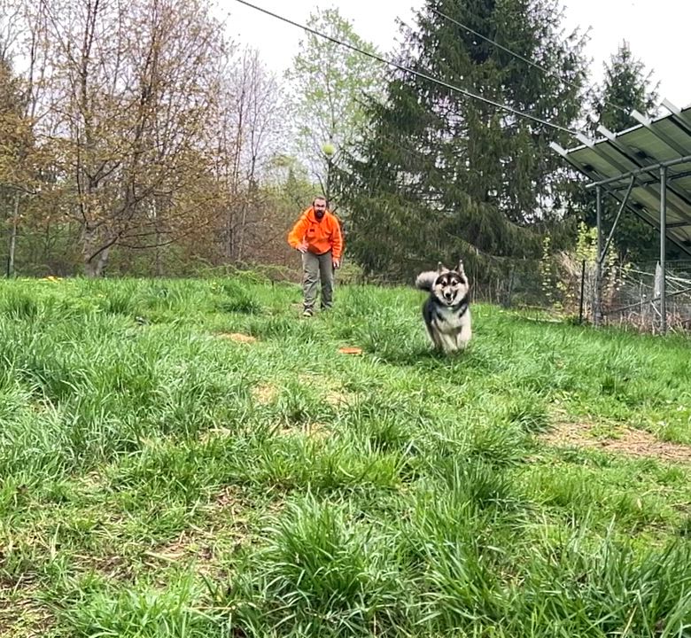 Enlarge Ebeneezer aka Ebby, an adoptable Mixed Breed in Bowdoin, ME video 2/5