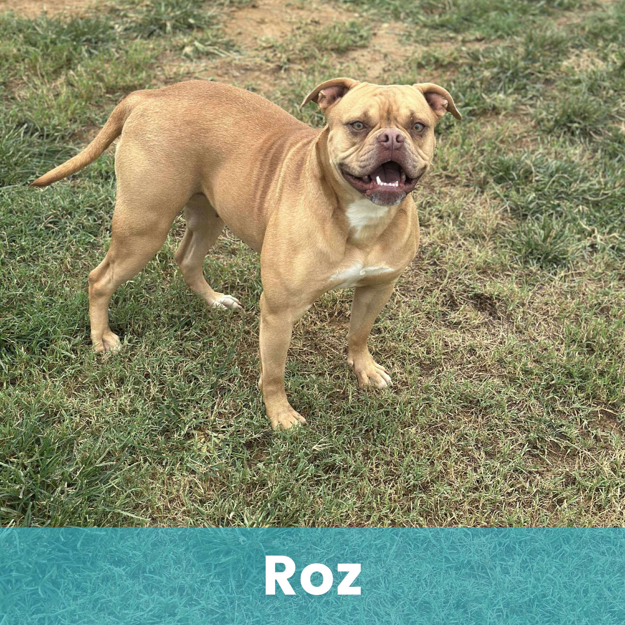 Roz
