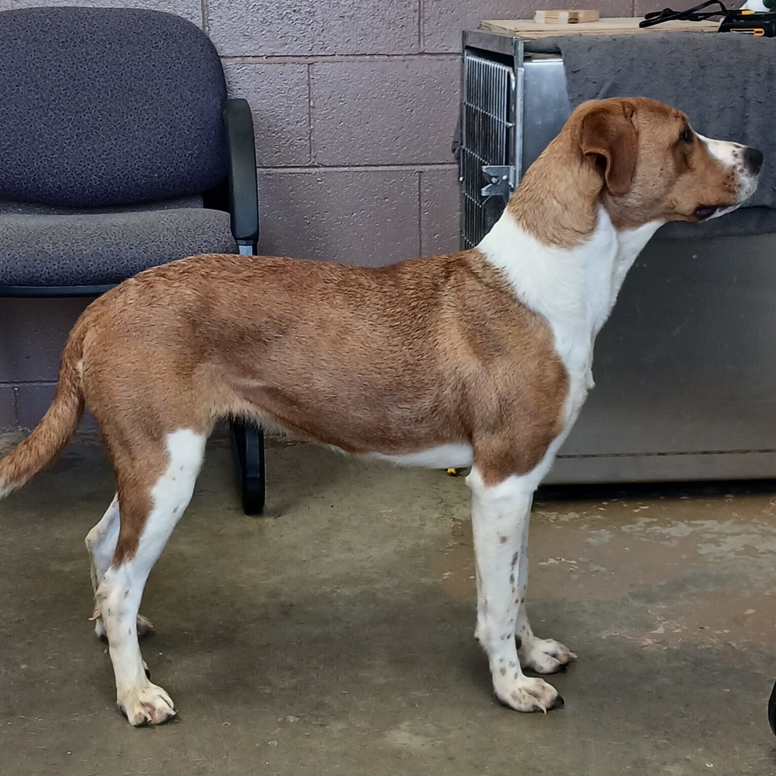 24-093 Available 5-3-24