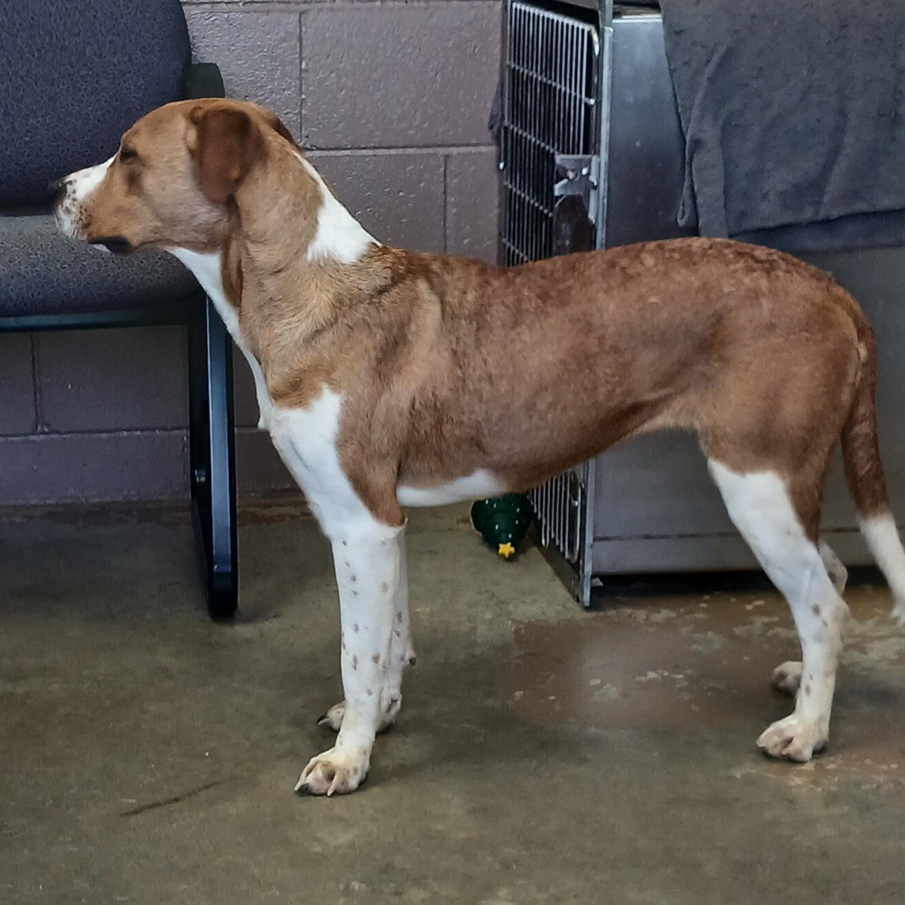 24-093 Available 5-3-24