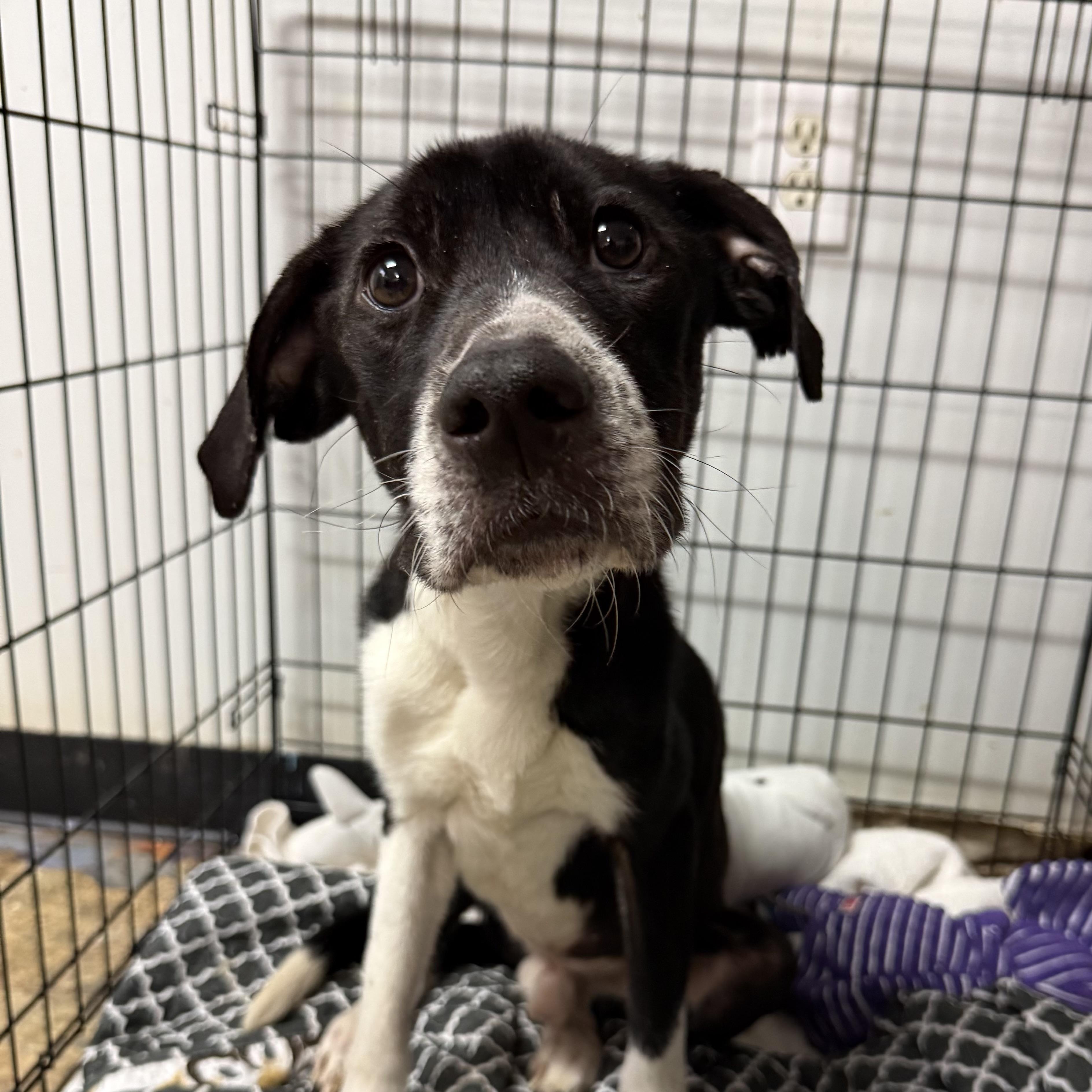 Johnny — thumbnail 3