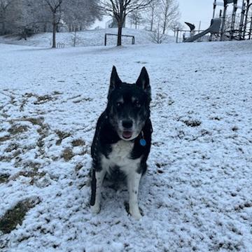 Tonita — thumbnail 4