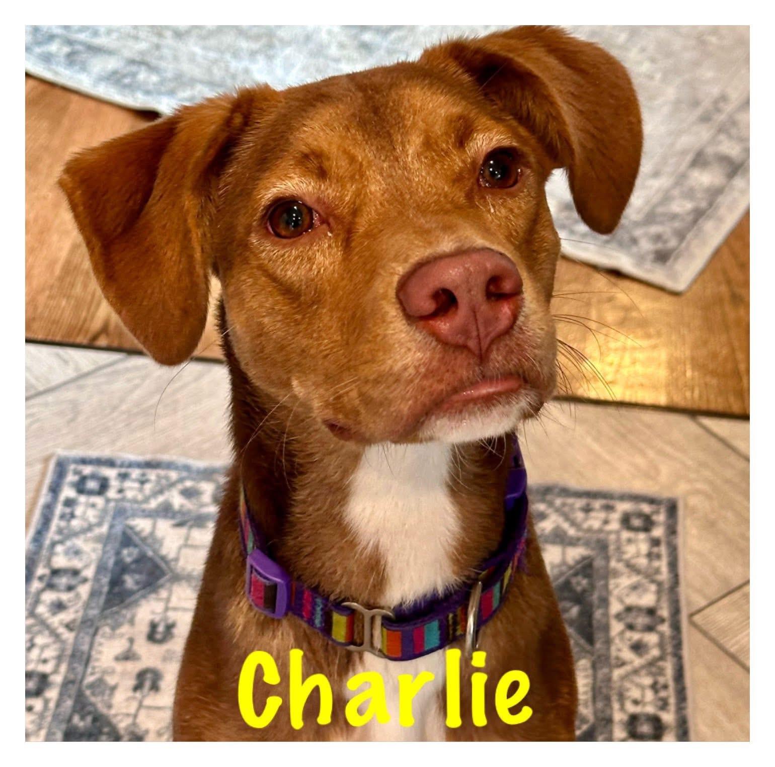 Charlie