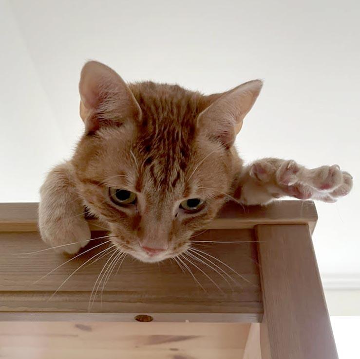 Soong-Nyang — thumbnail 6