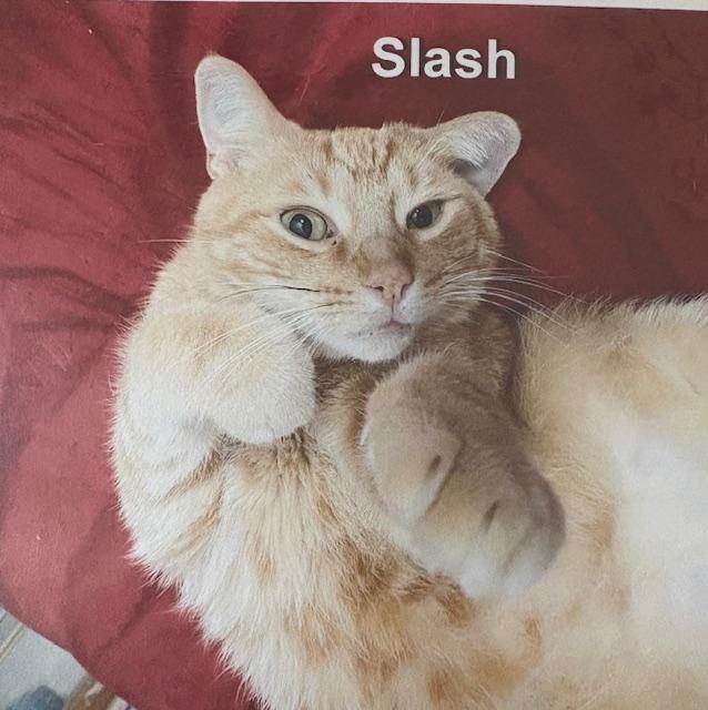 Slash
