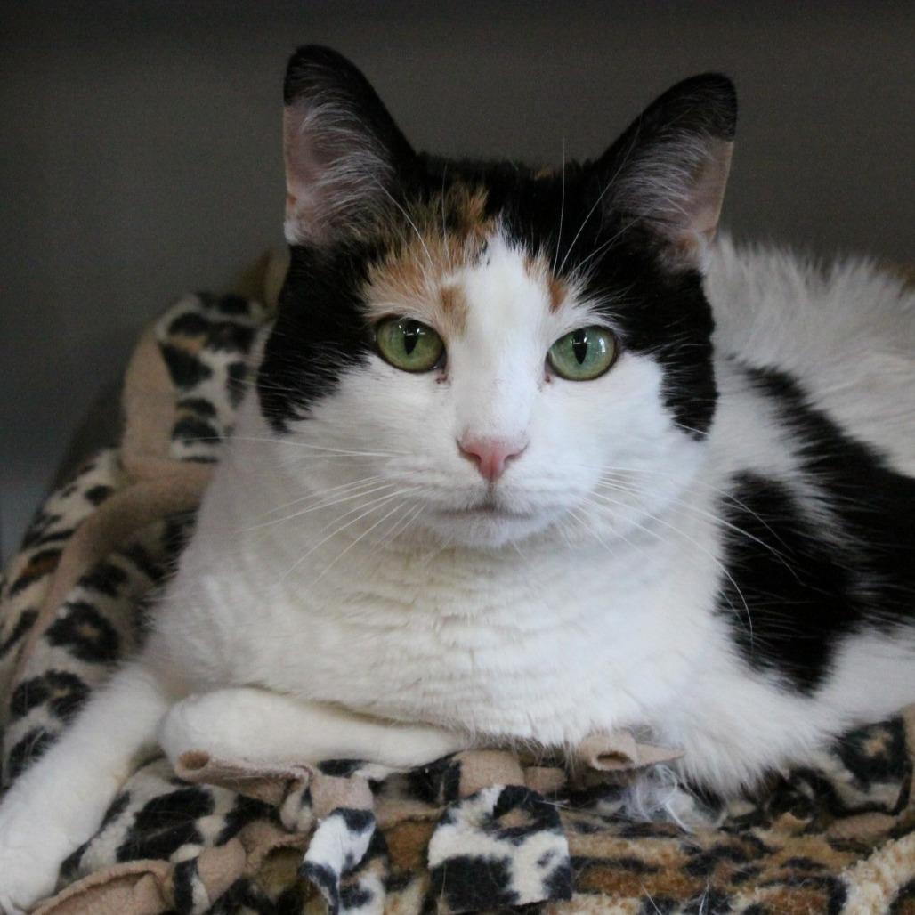 Natasha — thumbnail 3