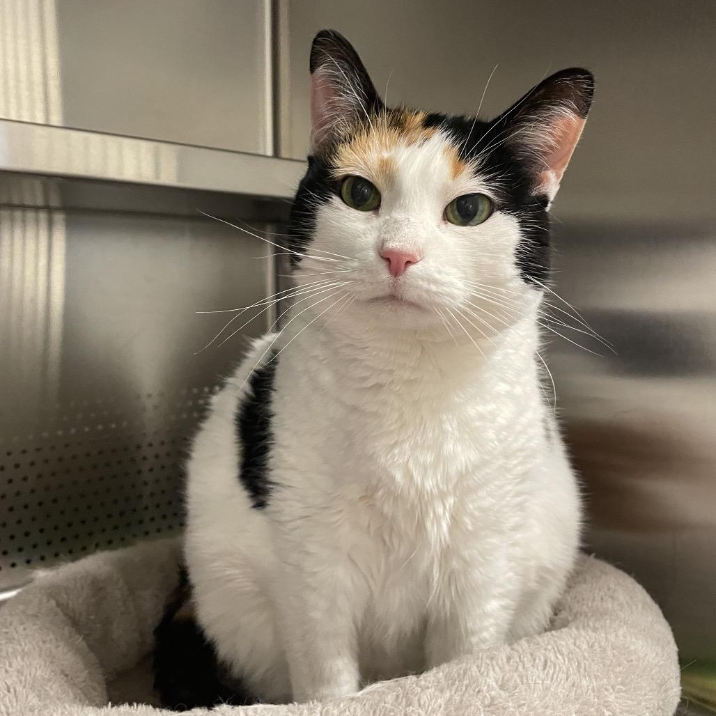 Natasha — thumbnail 5