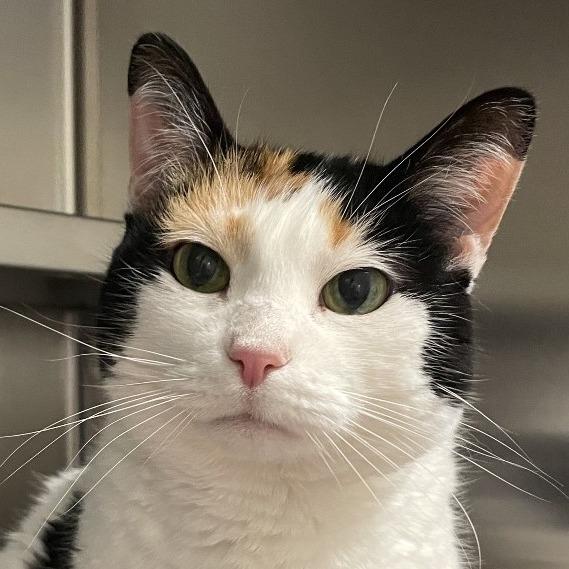 Natasha — thumbnail 6