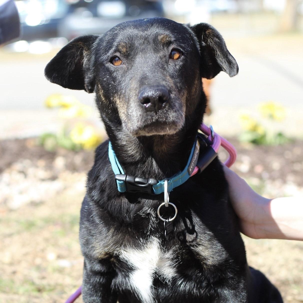 Sally — thumbnail 3