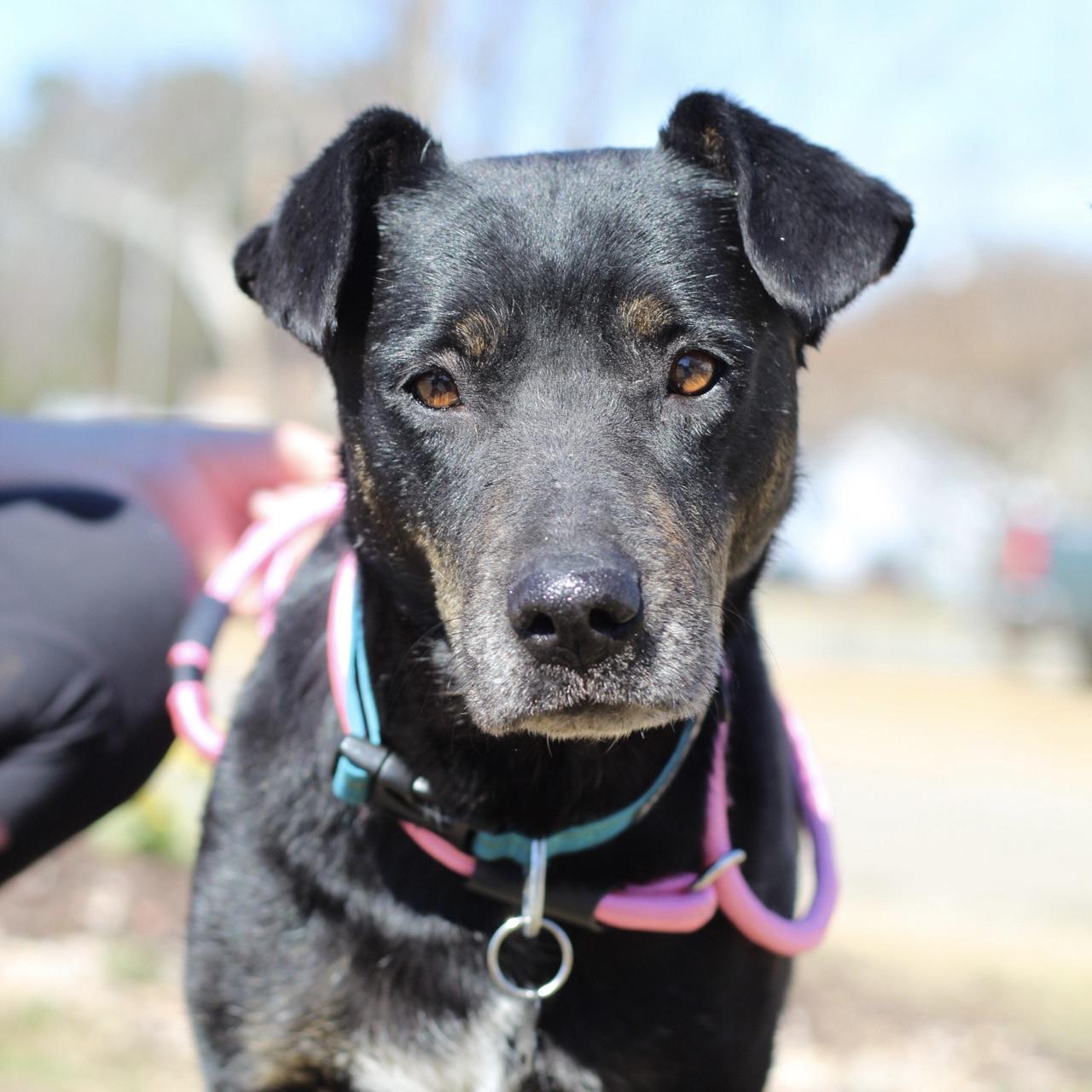 Sally — thumbnail 4