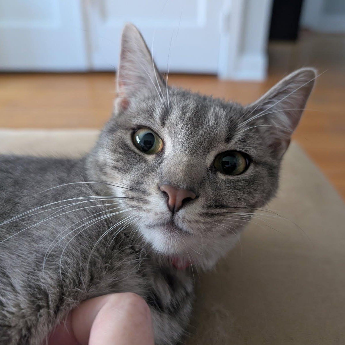 Cake Pop, Young Female unknown