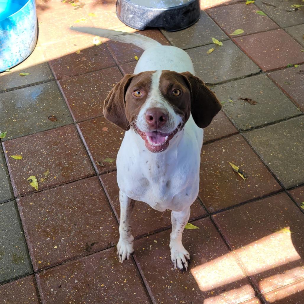 Jaylynn — thumbnail 3