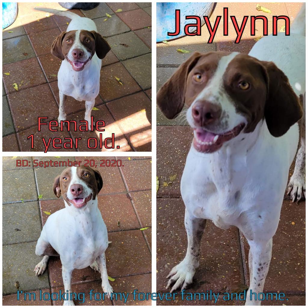 Jaylynn — thumbnail 4