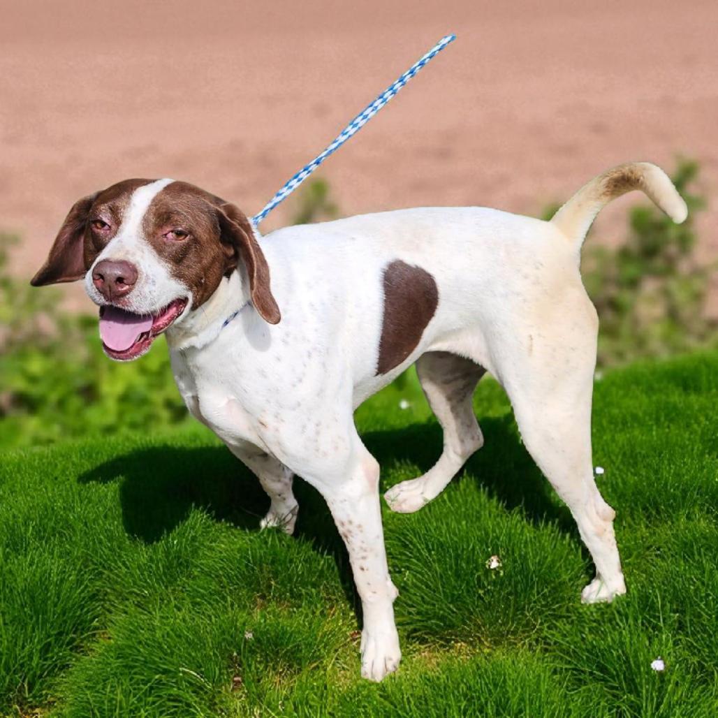 Jaylynn — thumbnail 5