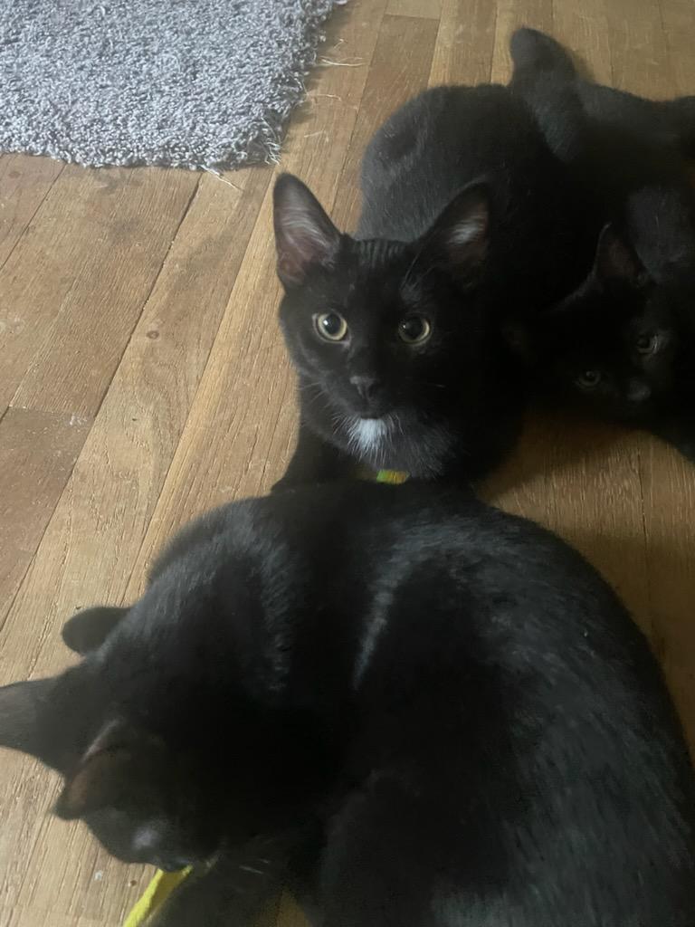 Max
