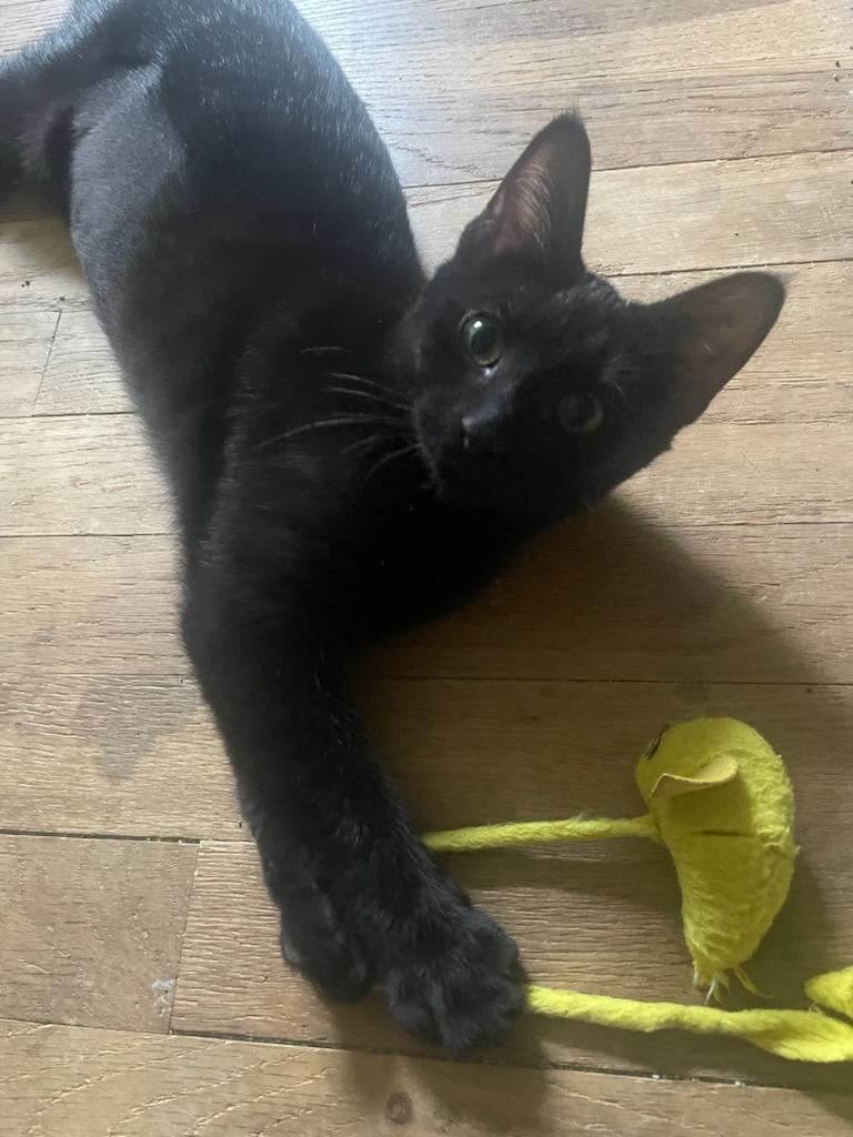 Max