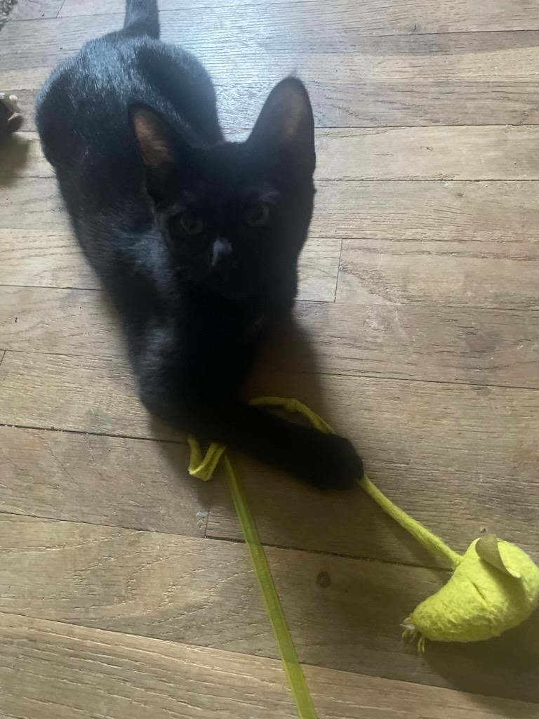 Max