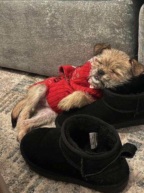 Little Lola thumbnail 2