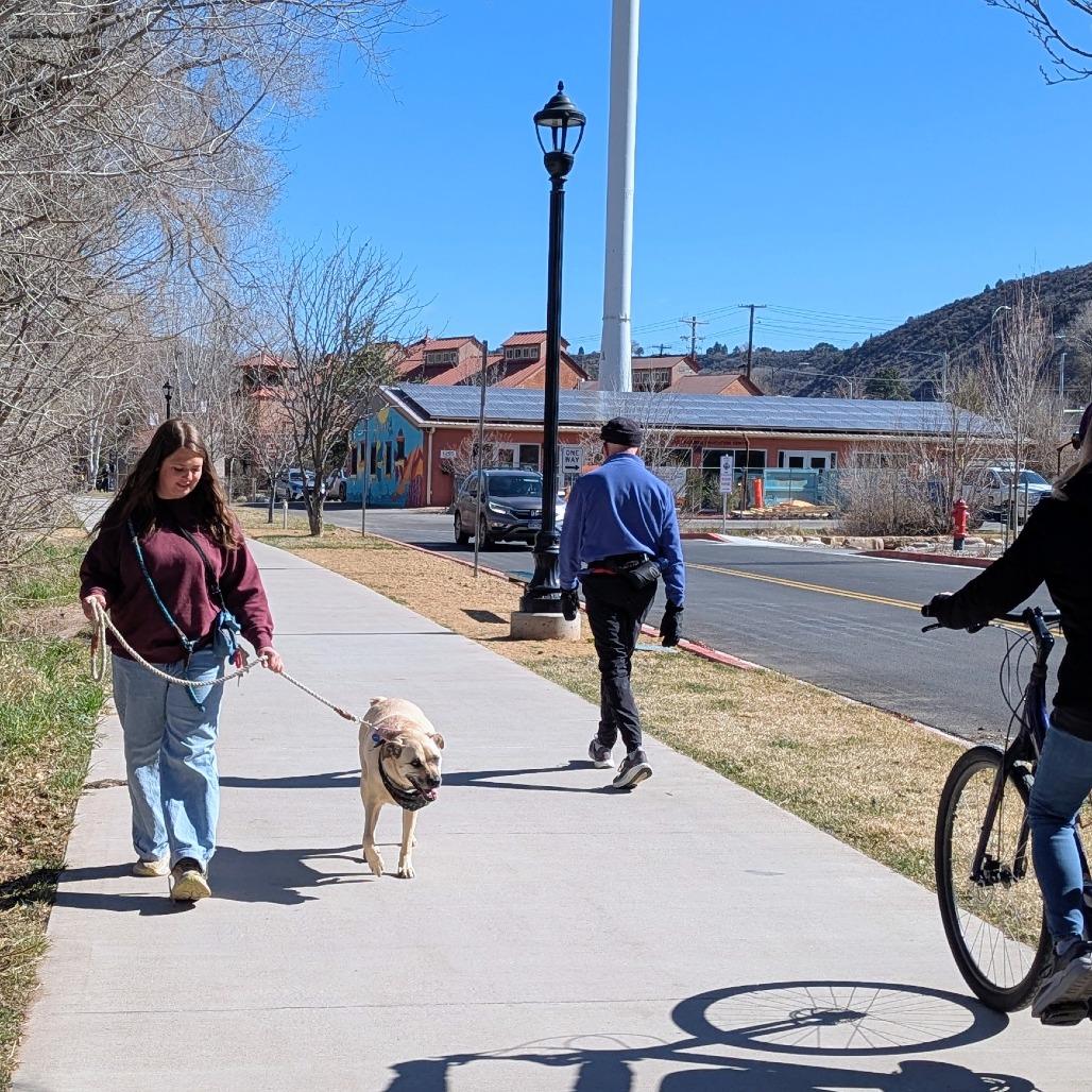 Enlarge Chai, a Adoptable mixed breed in Durango, CO image 1/5