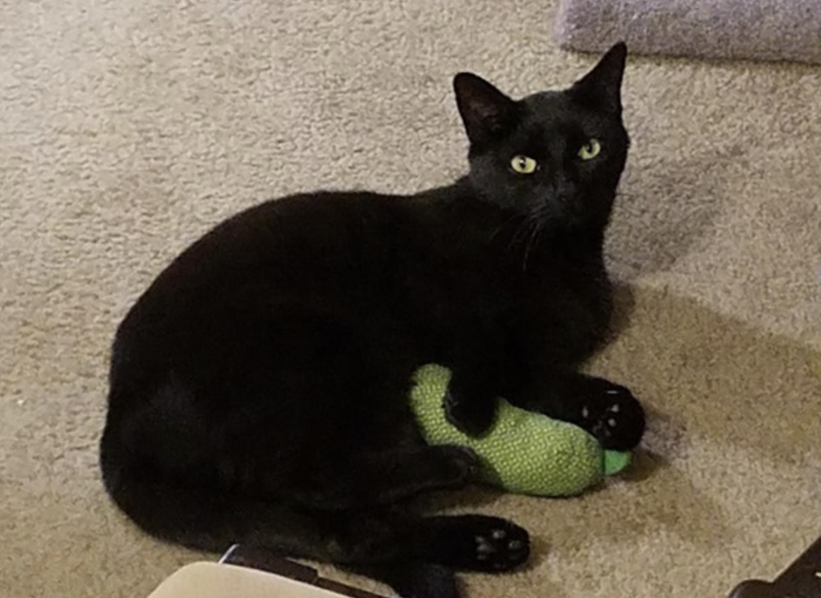 Barry — thumbnail 4