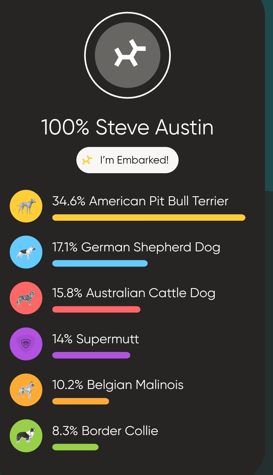 Steve Austin, a ADOPTABLE mixed breed in Woodland, CA image 2/4