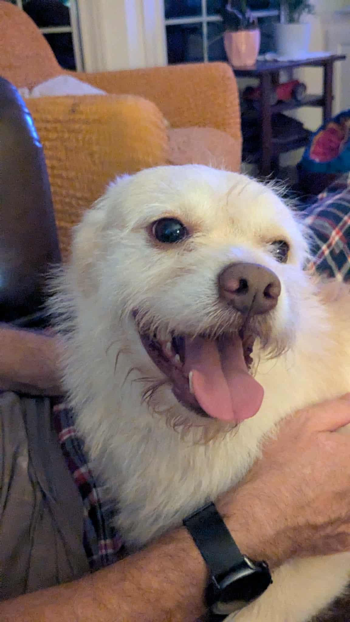 Zip : The sweet shadow you need — thumbnail 3