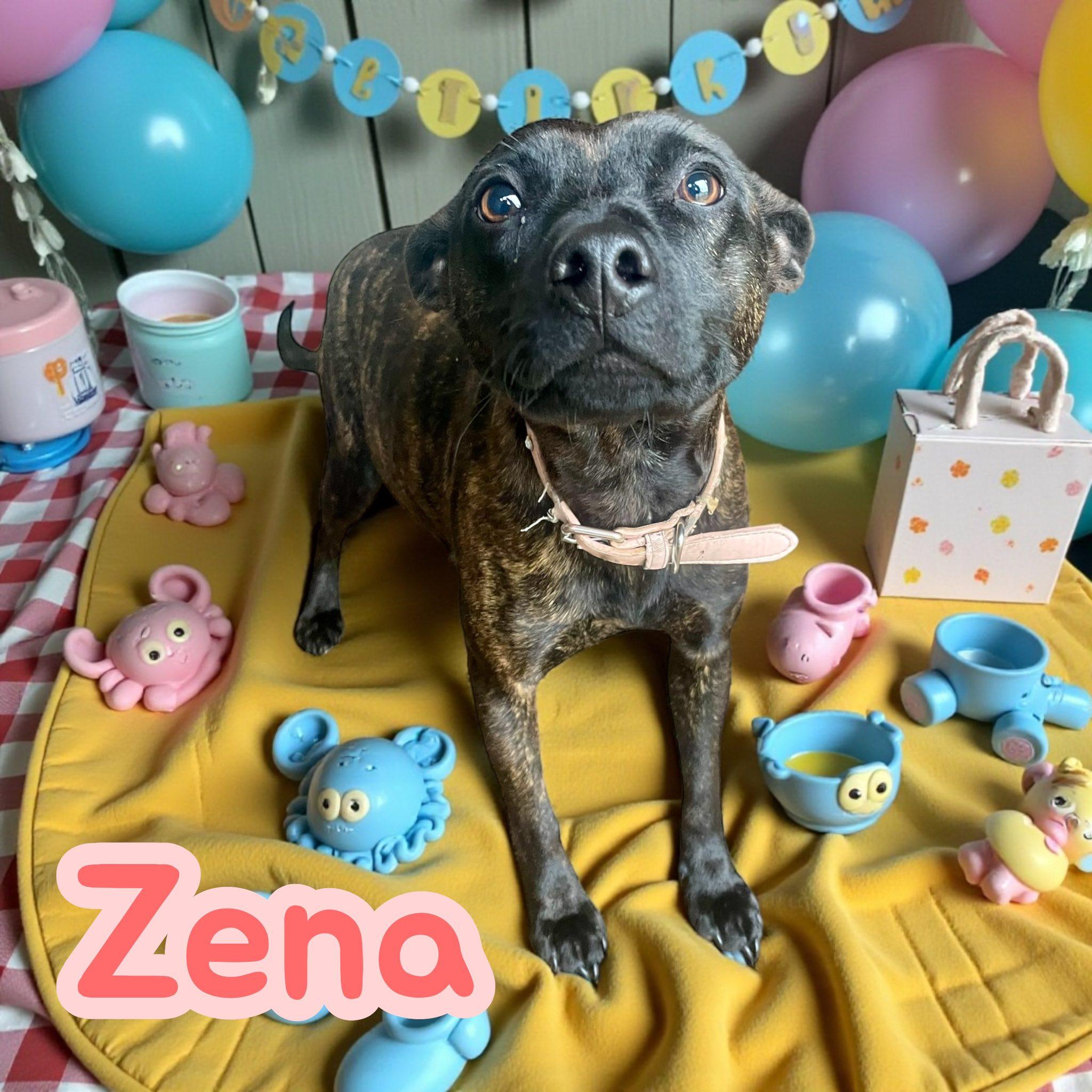 Zena