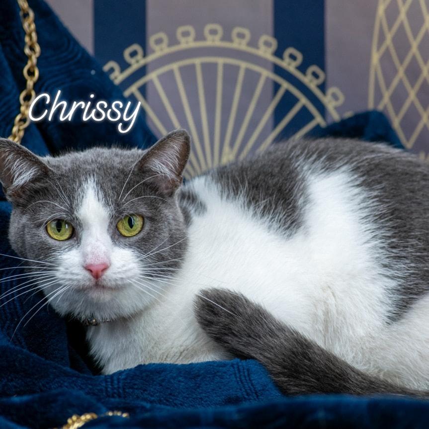 Chrissy