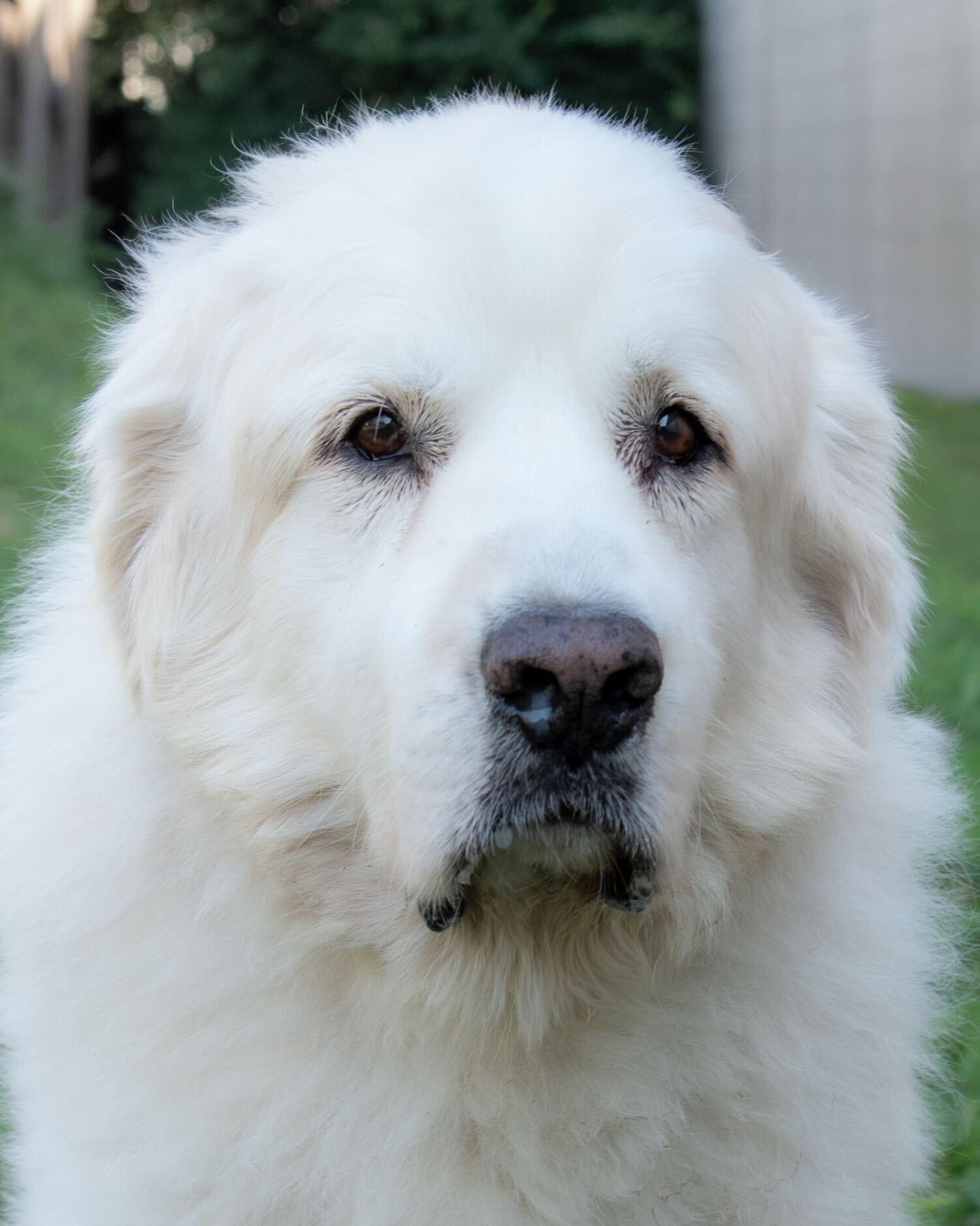 Gunther