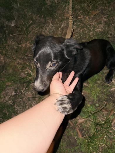 Angel — thumbnail 5