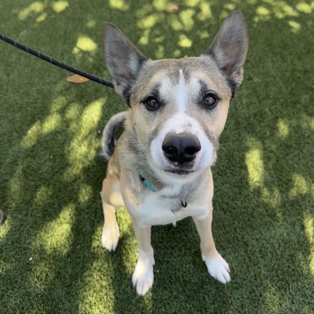 Zeus — thumbnail 4