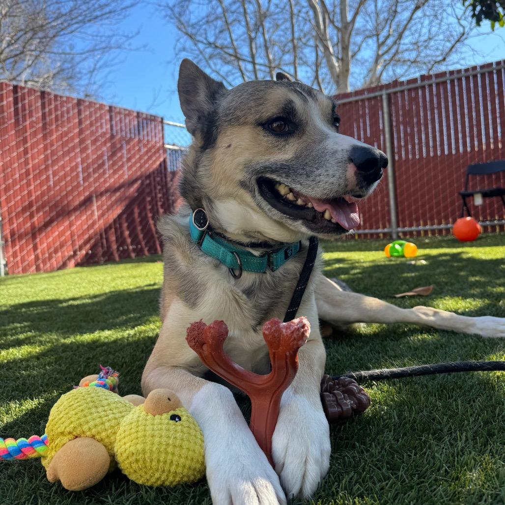 Zeus — thumbnail 5