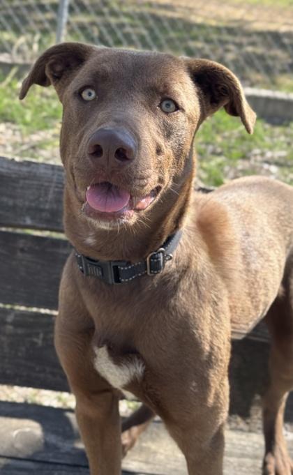 Camilla — thumbnail 2