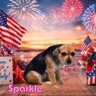 Sparkle, a Adoptable Mixed Breed in Joliet, IL image 2/4
