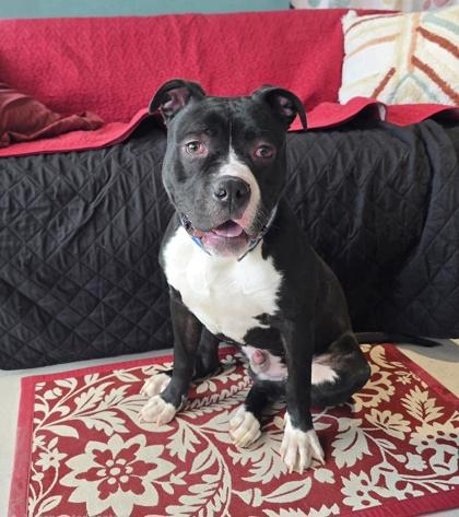 FLASH — thumbnail 2