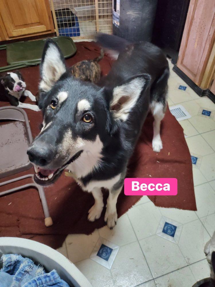 Becca