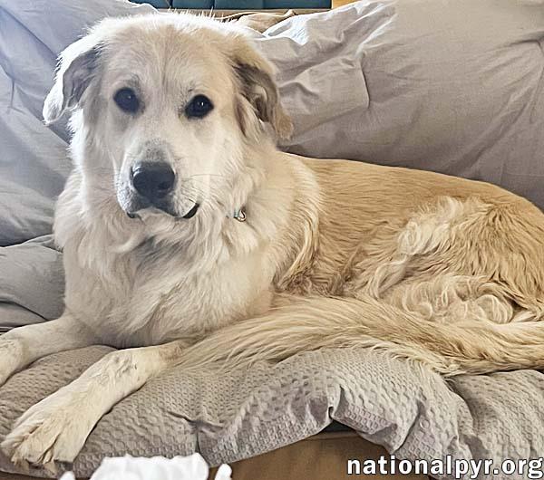 Dolly In Tn  thumbnail 2