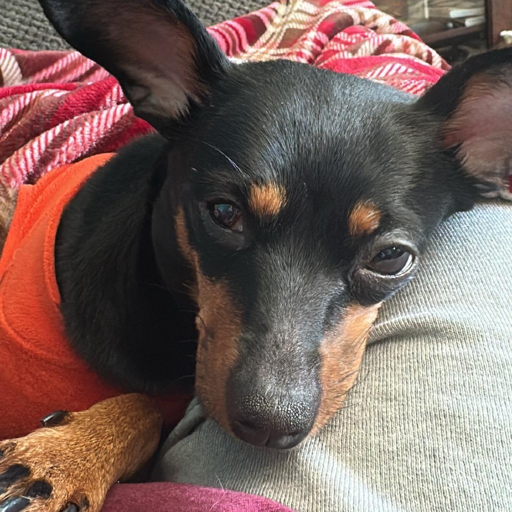 Daisy-In Foster — thumbnail 5